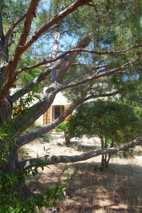 Chez Nous Cassis Bed & Breakfast Dış mekan fotoğraf